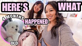 FIRST TIME VLOGGING AT THE MALL WITH A 4 MONTH OLD SHIH-POO PUPPY - DAY IN THE LIFE VLOG