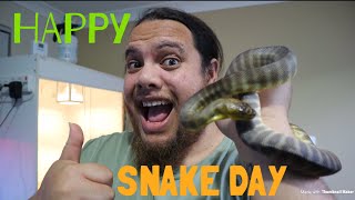 Happy world snake day