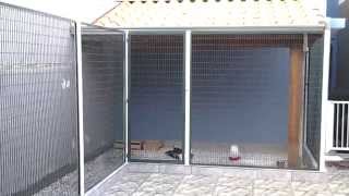 Calgaro Garnizé - Novo galinheiro 80% pronto