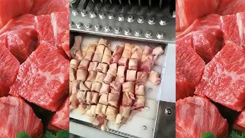 Chicken Cutting Machine | Fish & Frozen Meat Cutter Machine for Meat Processing Plants