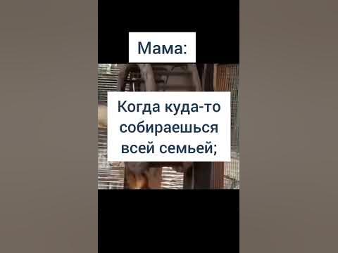 У кого такая же история с папой???🤣 - YouTube