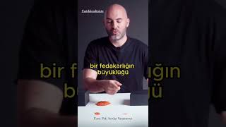Bu Merci̇mek Taneleri̇nden