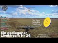 Ein gediegener Livestream War Thunder Nr 24 vom 20.09.2025 #warthunder #fyp #blackHD-lk4pd