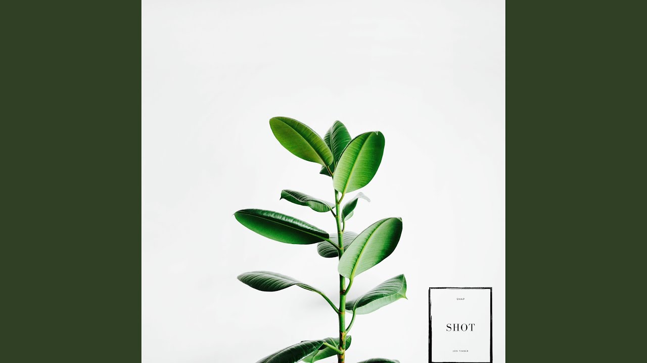 Snap Shot auf YouTube ansehen Snap Shot auf YouTube ansehen