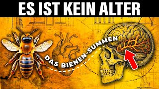 Du Bist Nicht Alt Dein Körper Steckt Im Krieg Der Vagus-Code
