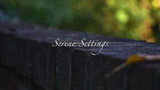 Serene Settings | 4K | I screenshot 5