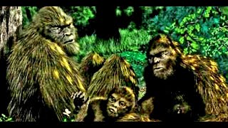 Bigfoot Sounds Sasquatch Knocks Wooden Song Early September 2020