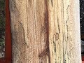 Woodmizer LT35 video. Spalted sycamore slabs Woodmizer LT35 video. Spalted sycamore slabs
