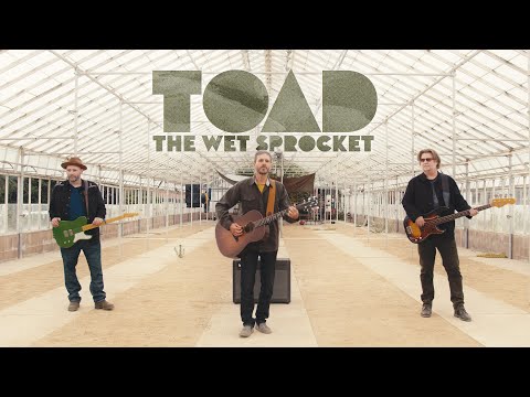 Toad The Wet Sprocket - Transient Whales (Official Video)