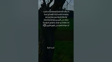 سورة البقرة الآية ٢٨٥و٢٨٦ بصوت الشيخ سعود الشريم #القرآن_الكريم