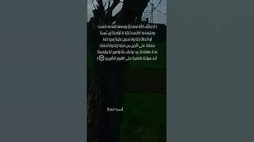 سورة البقرة الآية ٢٨٥و٢٨٦ بصوت الشيخ سعود الشريم #القرآن_الكريم