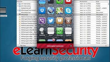 9 - IOS Runtime Decrypt application