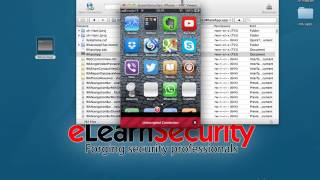 9 - IOS Runtime Decrypt application