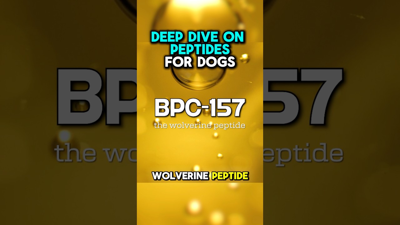 BPC-157 for Dogs #dogs