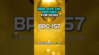 BPC-157 for Dogs #dogs
