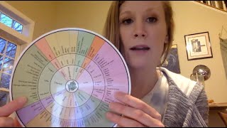 Sunburst Diagrams with Lindsay Betzendahl (Ep. 47)