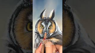 Signups Are At The Bottom Of My Site Ty To Everyone Whos Subscribed So Far