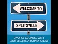 How do you use a Financial Advisor in a Collaborative Divorce? - Splitsville Ep.28