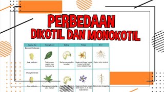 Perbedaan Tumbuhan Dikotil dan Monokotil
