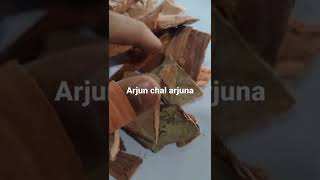 Arjun Chal Arjuna