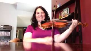 Day 153 - Smash The Window - Patti Kusturok's 355 Days of Fiddle Tunes chords