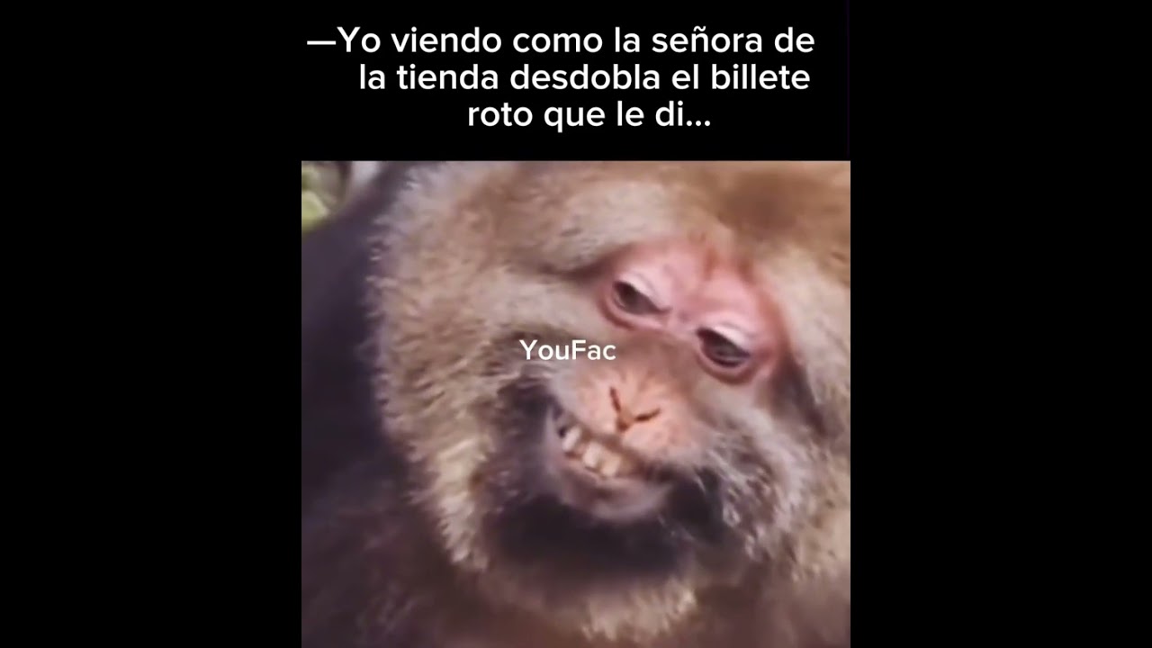 🤣 No lo haga señora