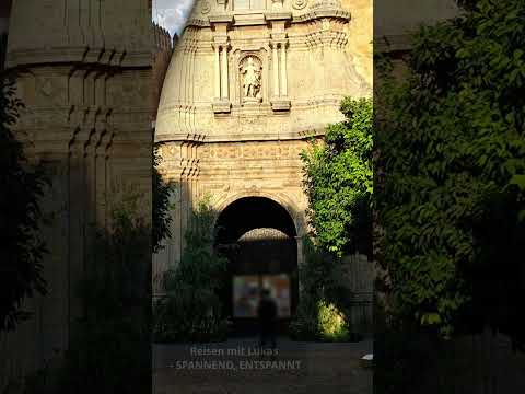 Spain In Pictures Córdoba 8 Shorts 