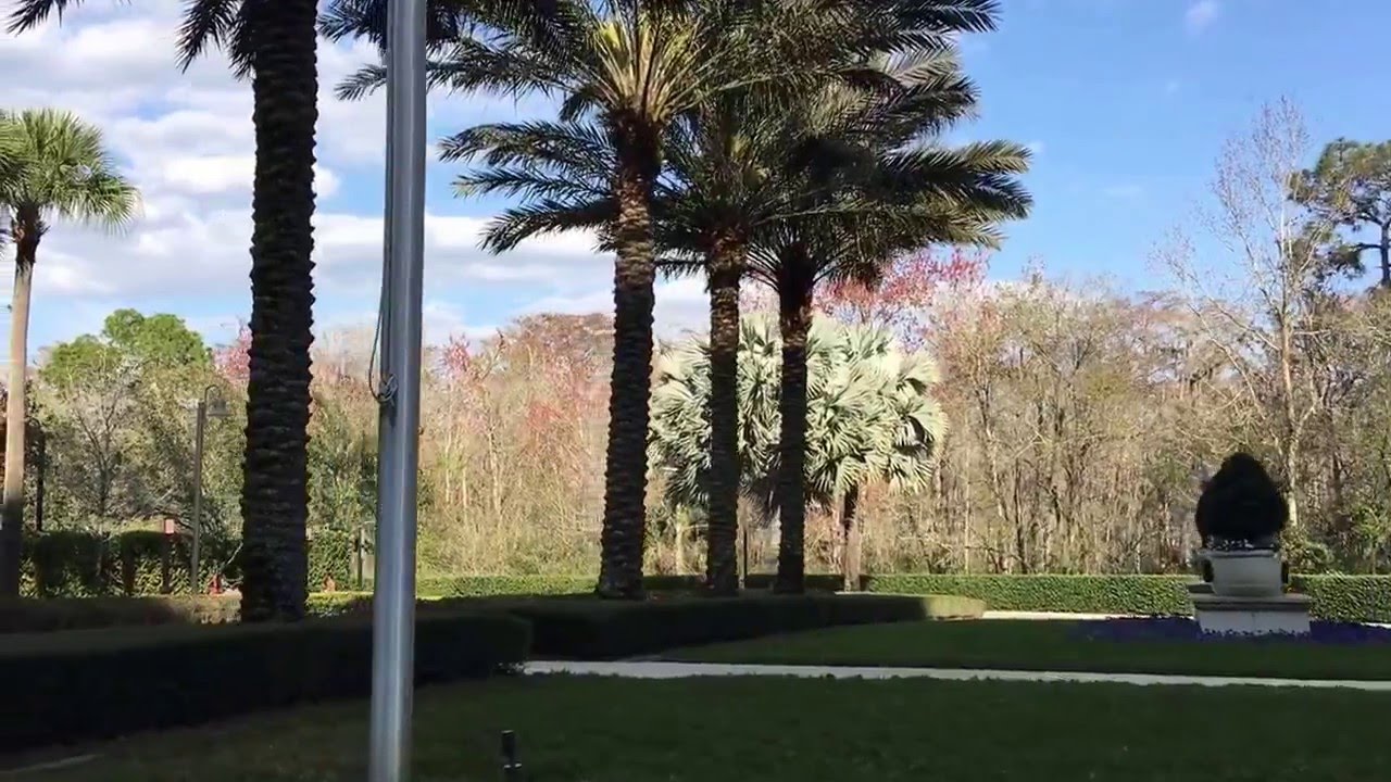 Waldorf Astoria Orlando Florida Luxury Travel Day Travel 2-29-16