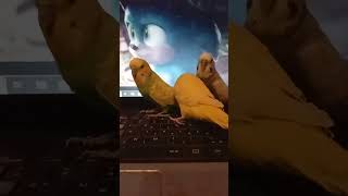 How Sonic 3 Destroyed Sega