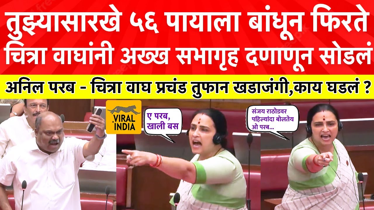 Chitra Wagh on Anil Parab : तेव्हा कुठं शेपूट घालून बसला होता? चित्रा वाघांनी धुतलं, तुफान कडाडल्या!