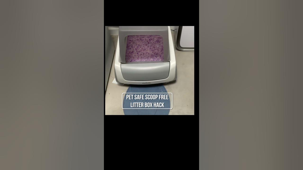 Save EASIEST Pet Safe Self Cleaning Crystal Litter Box Hack
