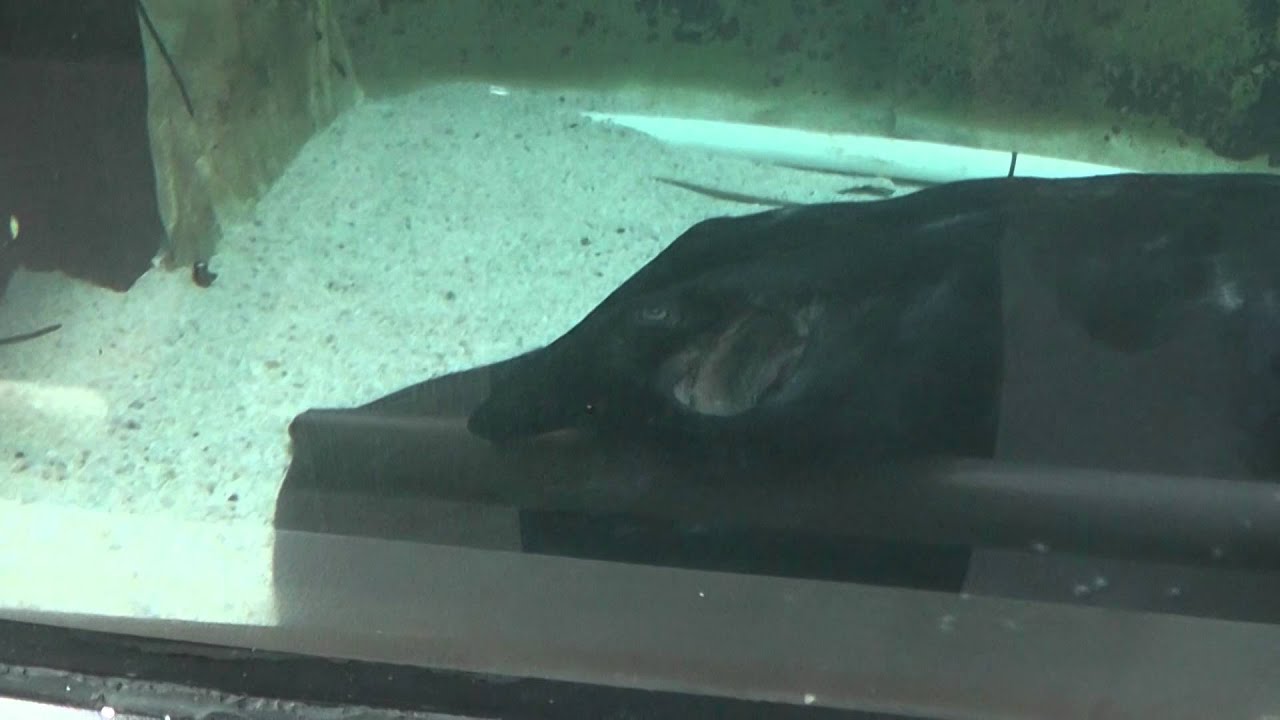 Sidney Australia 09 21 2012 041300-33