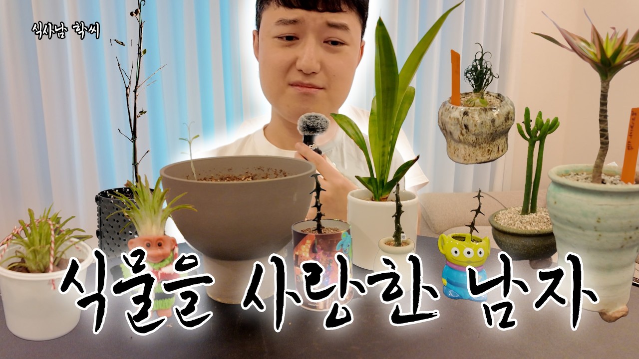 비수기의 농부는 뭘할까? (식사남 학씨, 티에라 선인장, 식물 가족소개)