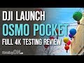 DJI Osmo Pocket - The ONLY Review You Need To Watch (4K)