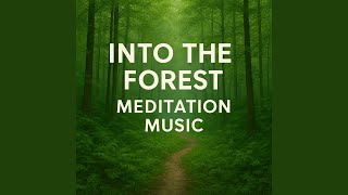 Into the Forest