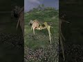 🐉 Wyvern’s Descent: Thorgrim’s Last Stand Against the Horde