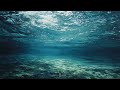 Ocean Dreams | Summer | Deep House | Downtempo | Electronic
