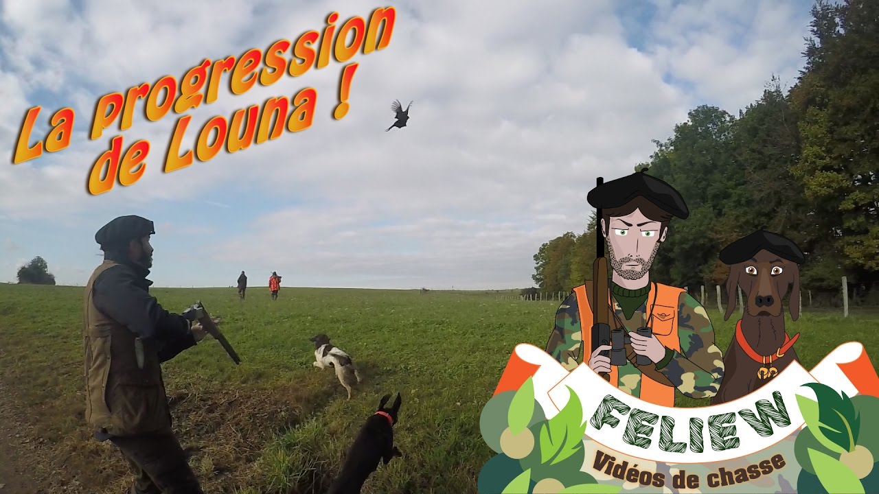 Охота на мелкую дичь с указанием собаки, Louna прогрессирует! Фазан охота ...