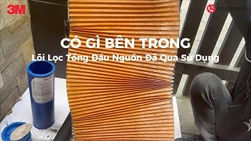 Lõi Lọc Nước Tổng Đầu Nguồn 3M AP904 Sẽ Trông Như Thế Nào?