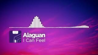 Alaguan - I Can Feel