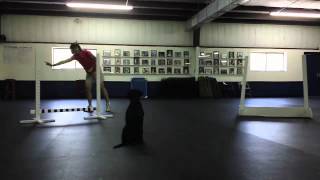 Nathan Learns Directed Jumping Without a Gate: Competition Training with Connie Cleveland
