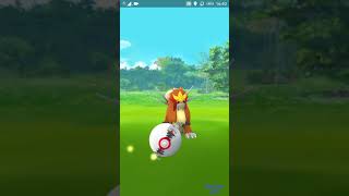 Pokemon Go - Niantic ? - 5X Excellent, 1X Great