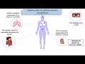 Le systme nerveux autonome sna