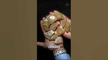 Einstein’s Brain Was STOLEN… You Won’t BELIEVE What They Did With It!