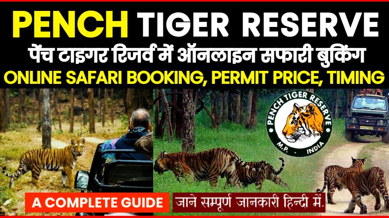 mp tourism pench safari online booking