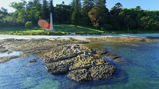KAMAY BOTANY BAY TO THE ROYAL NATIONAL PARK - LONG WALK.