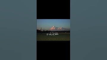 محمد اللحيدان سورة الصافات #اكسبلور