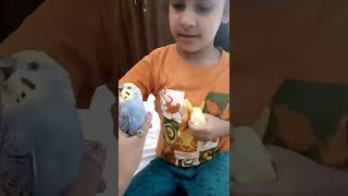 Funny Bluro🦜🦚🦉🦆🦃🦅🐦