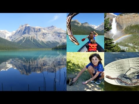 Fun On The Way From Salmon Arm To Canmore | Travel Canada | By Victoria Paikin