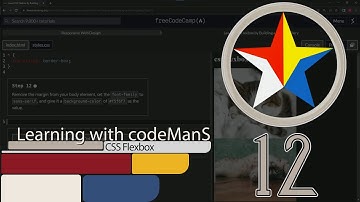 FreeCodeCamp | Learn CSS Flexbox by Building a Photo Gallery: Step 12 | Responsive Web Design